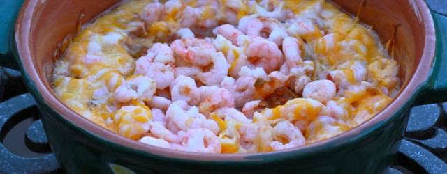 Summer. Margarita in hand. Or maybe a Corona. Amigos over for a BBQ. The best, grilled appetizer EVER on the grill. Bliss. Grilled Queso and Shrimp Dip is simple, gorgeous,...